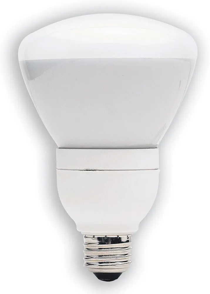 GE Lighting 21710 Energy Smart CFL 15-Watt (65-watt replacement) 720-Lumen R30 Dimmable Floodlight Bulb with Medium Base, 1-Pack