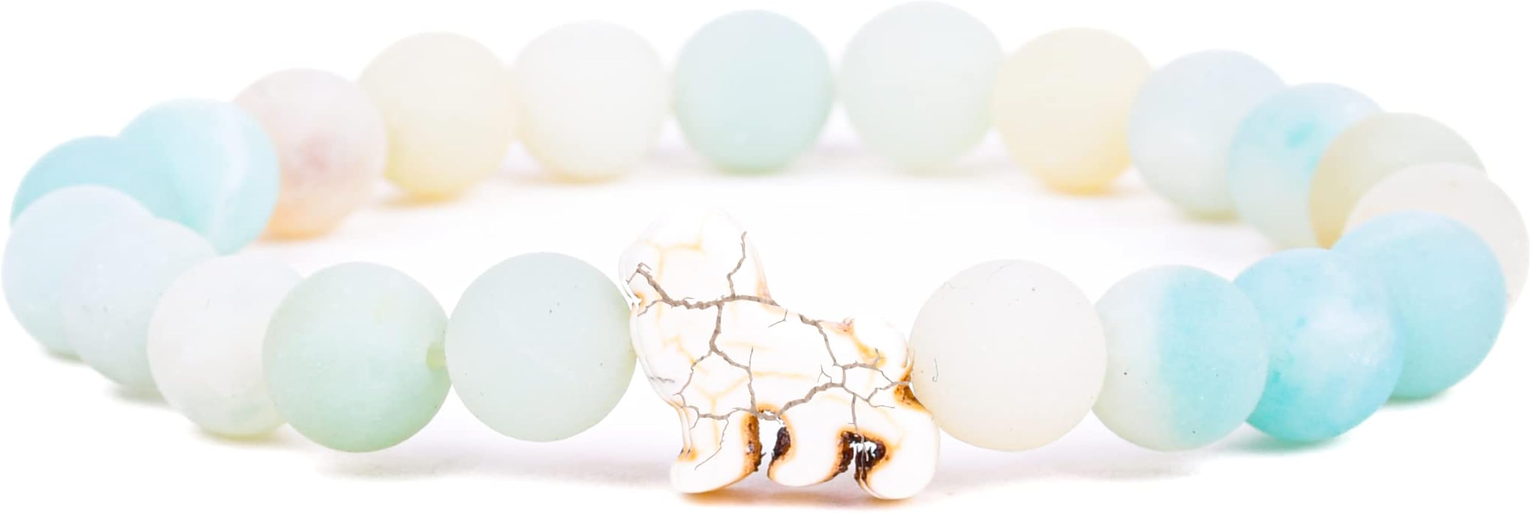 Fahlo Lion Tracking Bracelet, Elastic, supports EWASO Lions, one size fits most for Men and Women